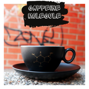 salica s molekulom kave