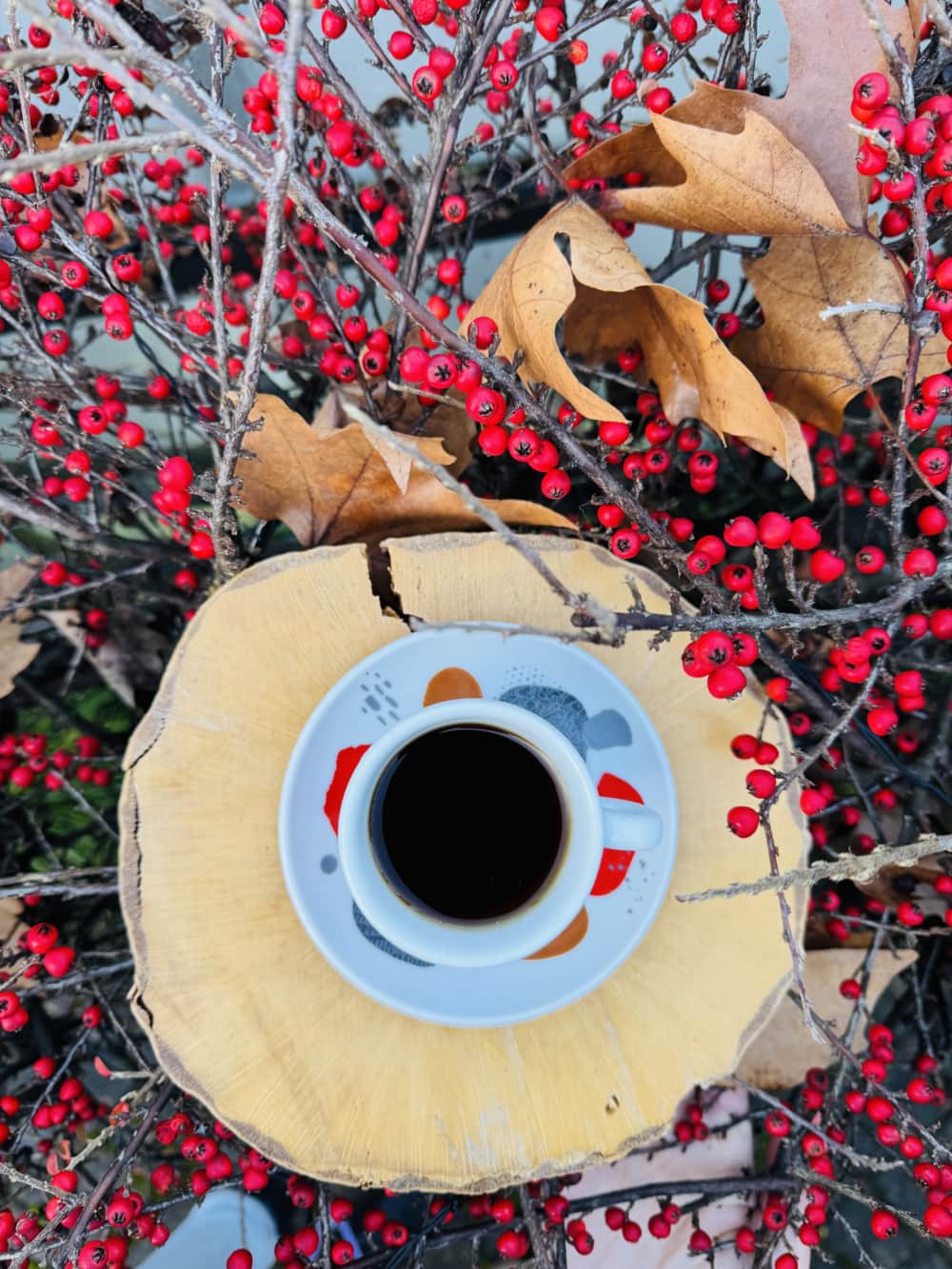 Čaj šalica - Lumo šalica i tanjurić 0,25l (6 set) - Image 5